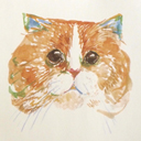 CAT / watercolor