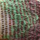 ひみつのはなし